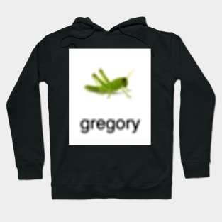 gregory Hoodie